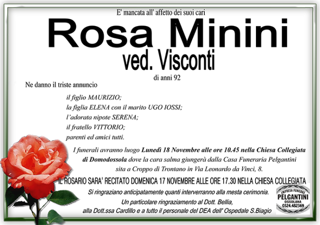 rosa MININI