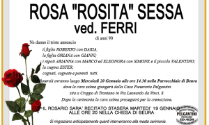 rosa SESSA