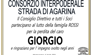 rossi CONSORZIO INTERPERSONALE