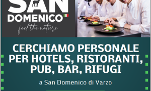 sand domenico personale 20