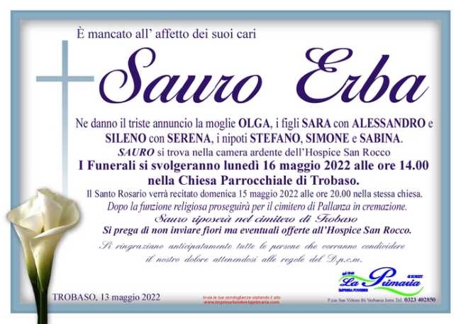 sauro erba