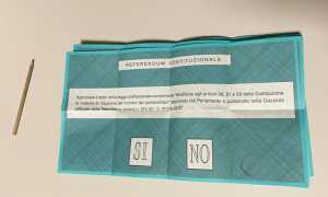 scheda referendum matita