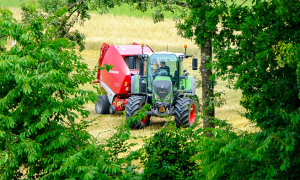 trattore albero campo