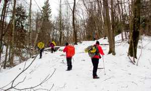 trotapian montecrestese frazioni neve