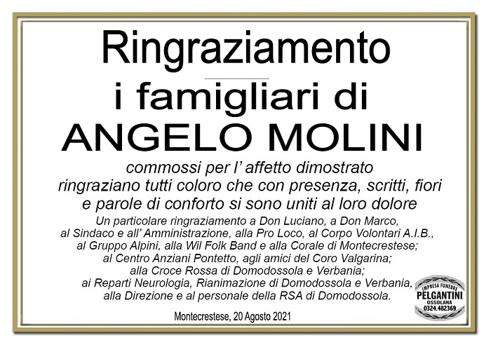 Ringraziamenti per Angelo Molini