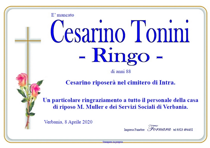 cesarino tonini ringo
