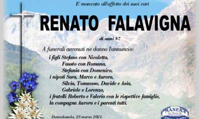ANN Renato Falavigna