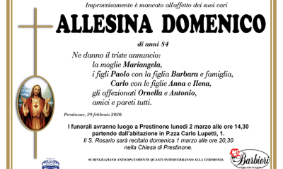 ANN ALLESINA D