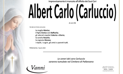 Annuncio mod. 704 Albert carlo