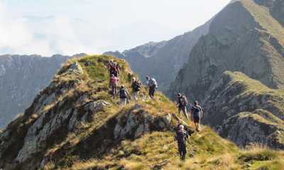 IMG 46961