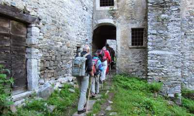 IMG 76321
