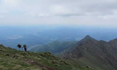 IMG 79791