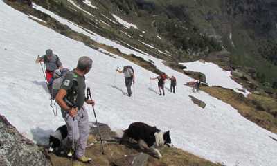 IMG 80891