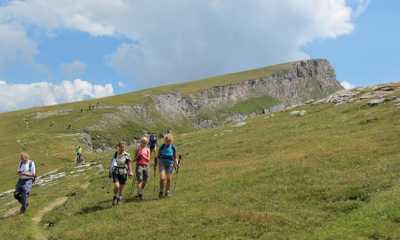 IMG 94731