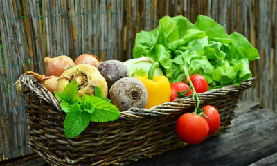 agricoltura