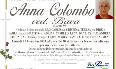 anna colombo bava