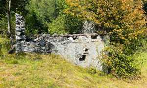 d7d34d79 aaf8 433c bbc8 b990f517f3d5