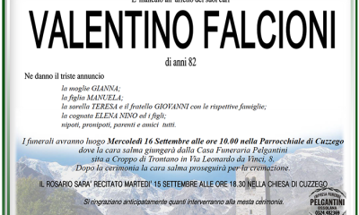 falcioni valentino