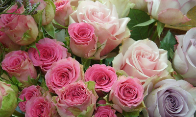 fiori