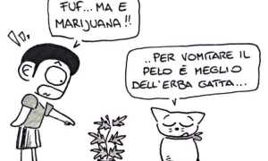 la vignetta di sapo IMG 0441