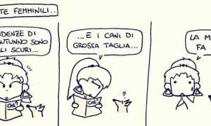 la vignetta di sapo IMG 0444