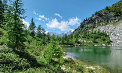 lago agro fabbri