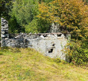 VENDESI A RE, IN VALLE VIGEZZO, PICCOLO RUSTICO DA RISTRUTTURARE CON TERRENO