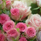 CERCHI I FIORI PER IL TUO MATRIMONIO? Cod.76