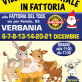 Villaggio di Natale in Fattoria
