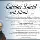 Caterina David Ved. Picuri