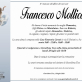 Francesco Mollica
