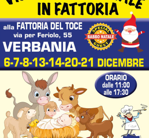 Villaggio di Natale in Fattoria