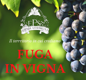 FUGA IN VIGNA- DEGUSTAZIONE VINI E PRODOTTI LOCALI