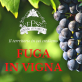 FUGA IN VIGNA- DEGUSTAZIONE VINI E PRODOTTI LOCALI