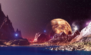 mondo mezzo polli foto