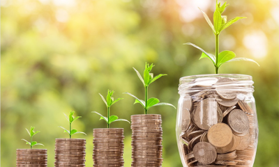 risparmio piabte soldi