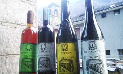 vini di viganella