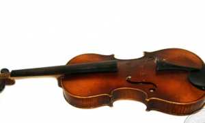 violino leonardo cocchi milano