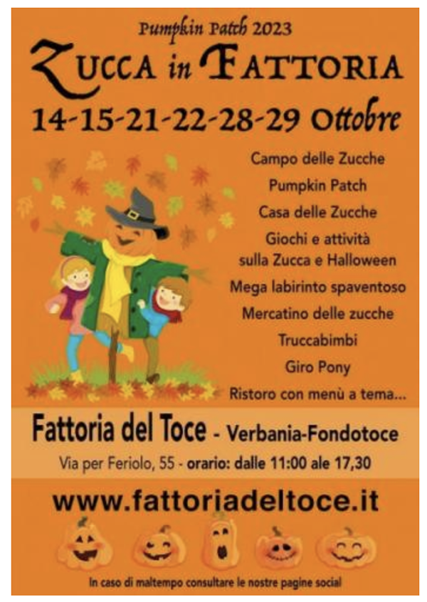 Screenshot 2023 10 22 alle 10.47.11