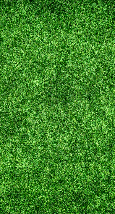 erba