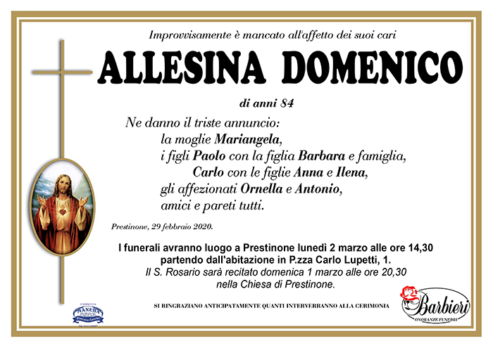 ANN ALLESINA D