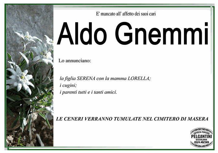 GNEMMI aldo