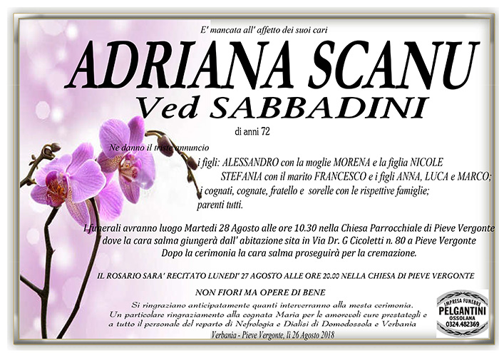 adriana scanu