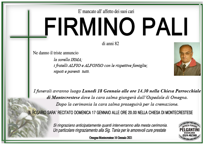 firmino pali