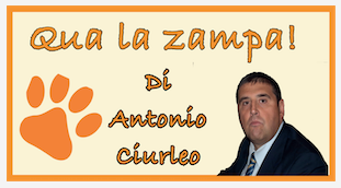 Schermata 2020 10 05 alle 17.23.37