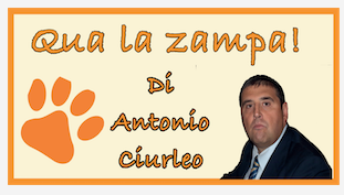 Schermata 2020 12 20 alle 11.11.43