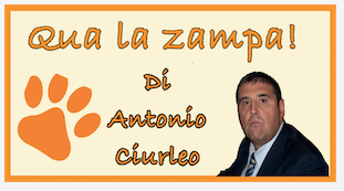 Schermata 2021 01 03 alle 12.01.32