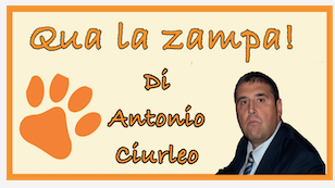 Schermata 2021 01 17 alle 11.32.32