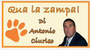 Schermata 2021 01 24 alle 11.21.47
