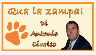 Schermata 2021 02 07 alle 11.16.10